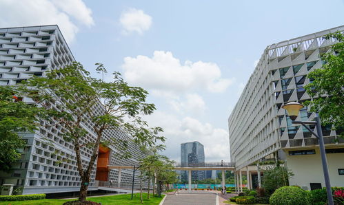 南科大內地高校第8，知名985內地排第66，這個新排名榜單太離譜？